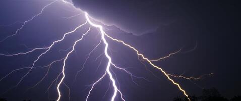 Lightning strikes over a dark sky with trees in the background photo