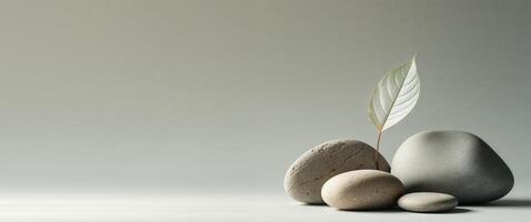A grey background with a leaf and three rocks on it photo