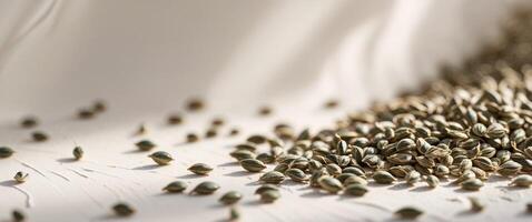 Natural texture of scattered hemp seeds on a smooth surface in high resolution. photo