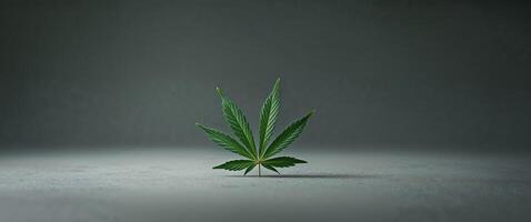 A leaf of marijuana is on a grey surface. photo