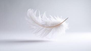 White feather on a white background photo