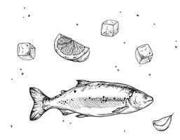 Ink sketch of salmon with lemon and ice with salt isolated on white background. ink vintage engraving illustration fish for menu, web and label. Hand drawn in a graphic style linear drawing vector