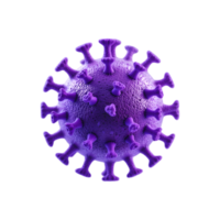 Microscopic virus purple spherical spiked surface 3D rendering scientific illustration detailed texture transparent background biological hazard molecular structure png