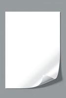 Blank White Sheet of Paper with Curled Corner on Gray Background photo