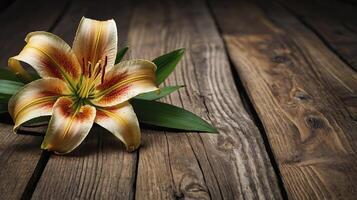 Lily Flower on Rustic Wood Background with Green Leaves Accent photo