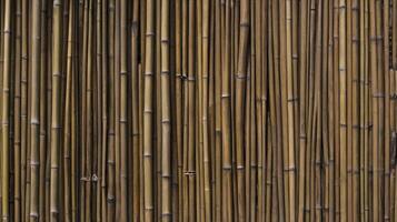 Bamboo Stalks Forming a Natural Fence or Wall, Rustic Texture photo