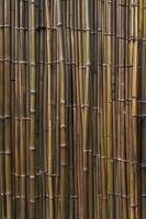 Bamboo Wall Texture Background of Natural Brown and Green Stalks photo