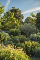 Exploring a Verdant Garden Landscape with Flowers and Lush Greenery photo
