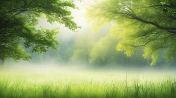 Tranquil Green Meadow Landscape with Fog and Sunlight Through the Trees photo