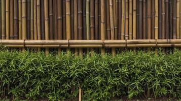 Bamboo Fence with Green Plants Background for Landscaping and Privacy photo