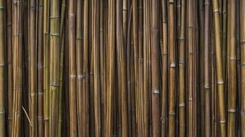 Close Up of Natural Bamboo Wall Background for Decoration photo