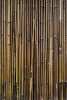 Bamboo Wall Texture Background - Natural Reed Fence Close Up photo