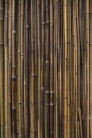 Bamboo Stalks Background with Natural Texture and Earthy Tones photo