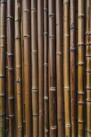 Brown Bamboo Stalks Creating a Textured Vertical Background for Design photo