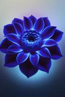 Close-up of a Blue Flower with Elegant Petals on Soft Gradient Background photo