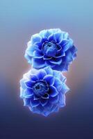 Two Blue Dahlia Flowers in Elegant Close-up on Soft Gradient Background photo