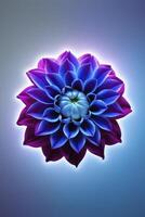 Elegant Dahlia Flower in Blue and Purple Gradient Color Scheme photo