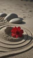 Red Flower on Sand with Zen Garden Circles and Gray Stones photo