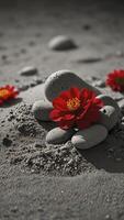 Red Flower Blossoming on Smooth Stones in Serene Sandy Landscape photo