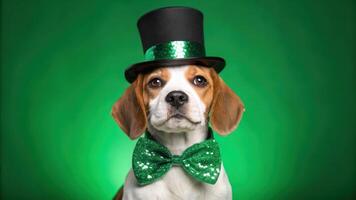 A dog wearing a top hat and bow tie photo