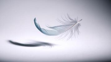 A feather is flying in the air with a shadow photo