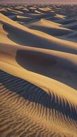 Sweeping Sand Dunes Landscape at Sunrise with Ripples and Warm Light photo