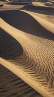 Sand Dunes Landscape with Ripples and Shadows in Arid Desert photo