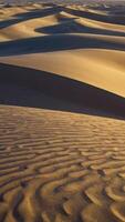 Exploring Endless Sand Dunes at Sunrise with Textured Surface Patterns photo