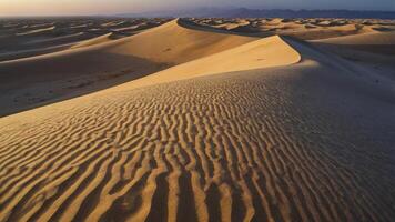 Exploring Majestic Desert Sand Dunes with Wavy Patterns Under Sunny Skies photo