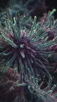 Close-up View of Dendritic Cell with Protrusions for Medical Illustration photo