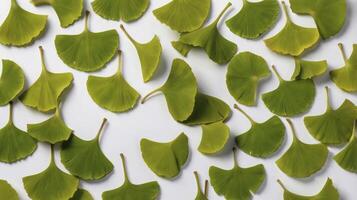 Arrangement of Green Ginkgo Leaves on White Background in Flat Lay photo