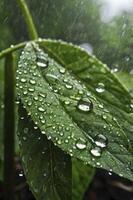Leaf in Rain Close-up with Water Droplets Nature Macro Scene photo