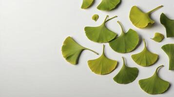 Ginkgo Leaves Composition Green and Yellow Color on White Background photo