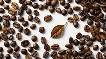 Roasted Coffee Beans and Leaf Laid Out on White Background photo