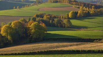 Rolling Hills Landscape with Autumn Colors and Green Fields Farming photo