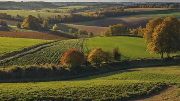 Rolling Hills Landscape with Autumn Colors and Fields at Golden Hour photo