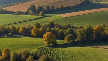 Scenic Countryside Fields and Trees with Fall Colors From Above photo