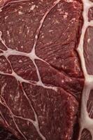 Raw Beef Roast Tied with String Ready for Cooking Preparation photo