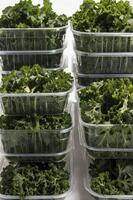Fresh Kale in Plastic Containers Stacked for Sale or Storage photo