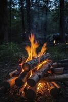 Burning Fire with Logs in Forest at Night for Camping and Relaxation photo