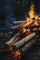 Burning Fire in Forest with Flames and Logs for Camping or Recreation photo