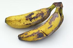 Two Overripe Yellow Bananas on White Background Showing Texture and Decay photo