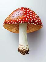 Red Mushroom with White Spots Isolated on White Background in Studio photo