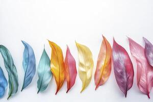 Arrangement of Colorful Leaves on White Background Creating Vibrant Rainbow Pattern photo