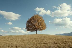 Solitary Autumn Tree on Hill Under Cloudy Blue Sky Landscape photo