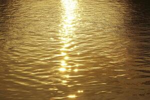 Sunlight Reflecting on Water Creating a Golden Shimmering Surface photo