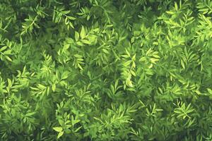 Green Leaves Pattern Background with Light and Shadow Natural Texture photo