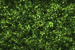 denso verde hojas modelo textura antecedentes para natural diseño proyectos foto