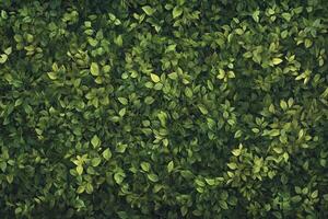 Dense Green Leaves Background Texture for Nature Inspired Design photo