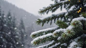 Snowy Pine Tree Branches with Lights During a Winter Snowfall photo